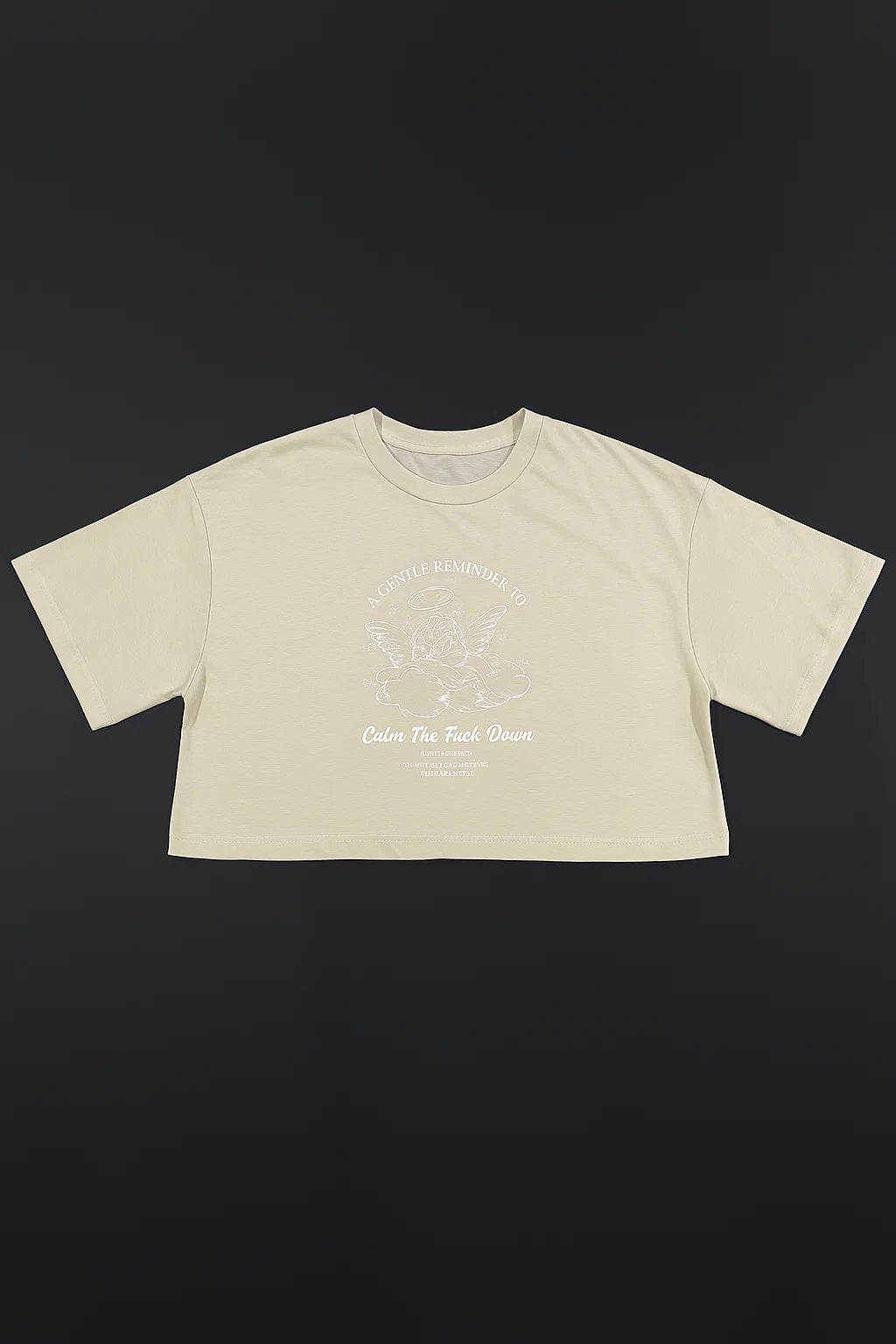 CAMISETA MUJER OVERSIZE CORTA BEIGE